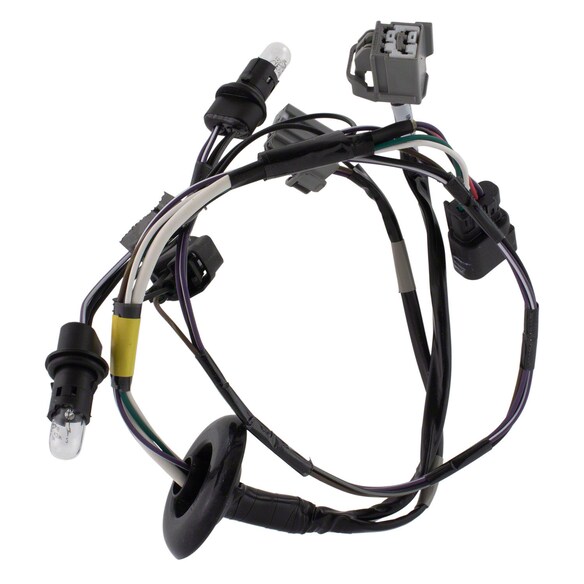 Socket and Wire Lamp Main Image