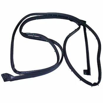 Door Seal Weatherstrip - Right, Rear