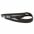 Serpentine Belt Main Image