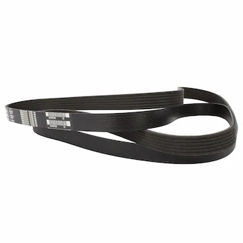 Serpentine Belt