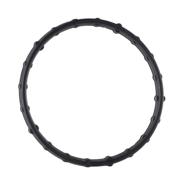 Gasket Vacuum Pump Main Image