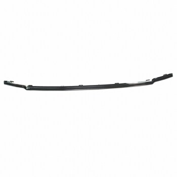 Grille Molding - Front