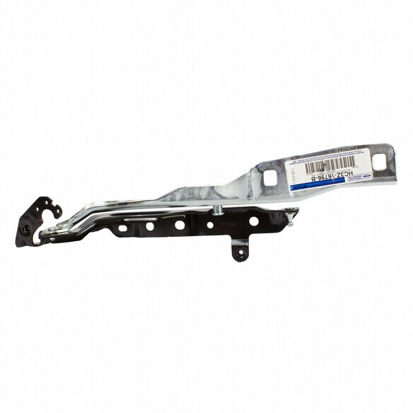 Hood Hinge - Right Main Image