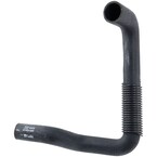 Radiator Coolant Hose - Upper Main Image