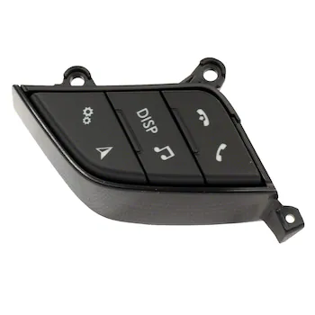 Cruise Control Switch - Right, Lower