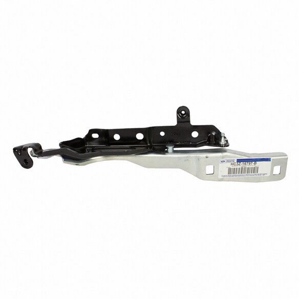 Hood Hinge - Left Main Image