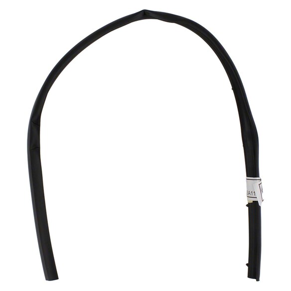 Door Seal Opening Weatherstrip - Left, Front Main Image