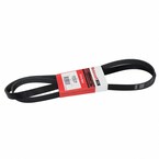 Serpentine Belt Main Image