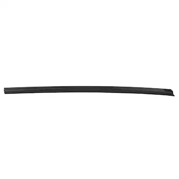 Door Window Belt Weatherstrip - Left, Front