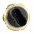 302409.jpg
