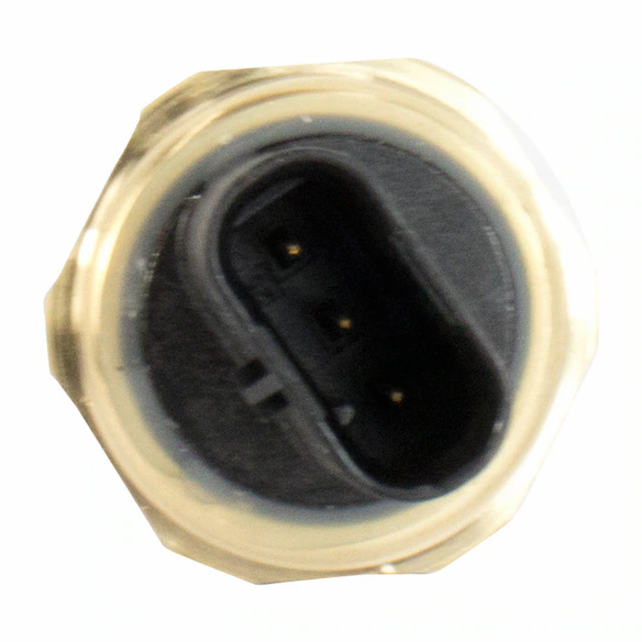 302409.jpg