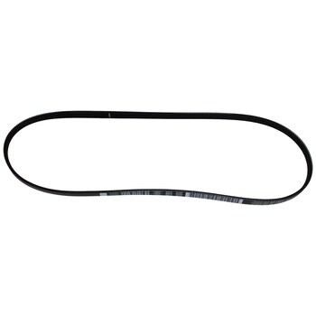 Serpentine Belt