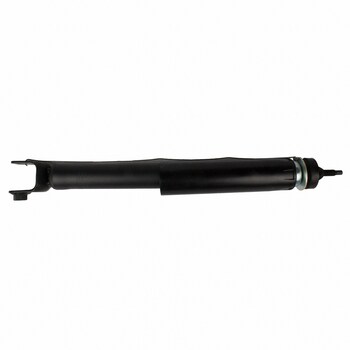 Suspension Shock Absorber - Front, Rear (EcoBoost)