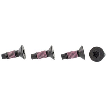 Bolt Mount bracket screw