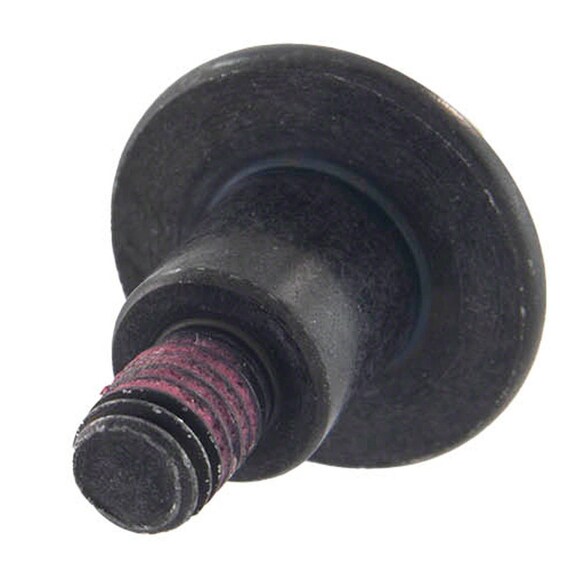 502414.jpg