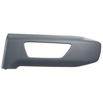 Applique Door Trim Panel - Right, Rear