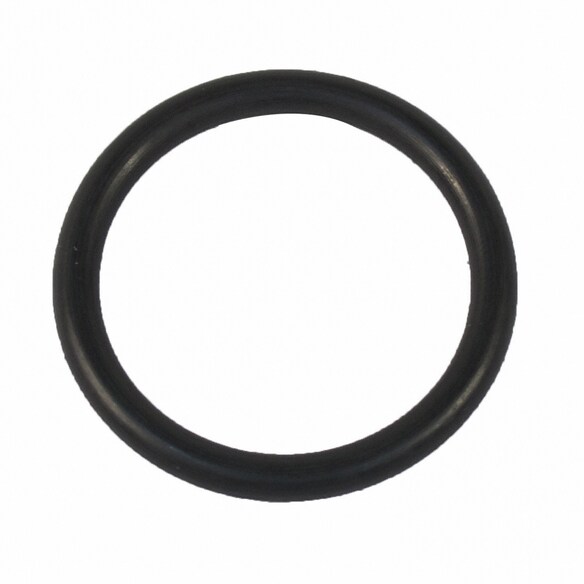 Engine Coolant Thermostat Gasket Seal Main Image