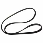 Serpentine Belt - 5.0L Main Image