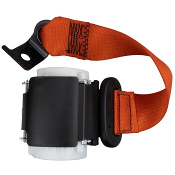 Seat Belt Lap and Shoulder - Rear, Center