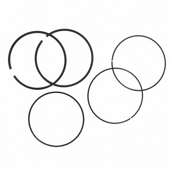 Engine Piston Ring Kit - 5.0L