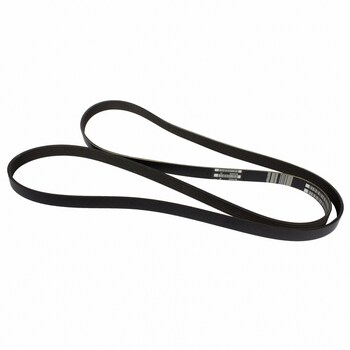Serpentine Belt