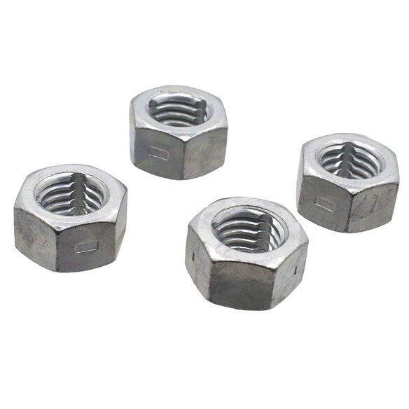 Nut Expansion Main Image