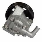 Power Steering Pump (EcoBoost) Main Image