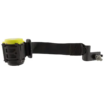 Seat Belt Lap and Shoulder - Rear, Center (Chateaumerlot)