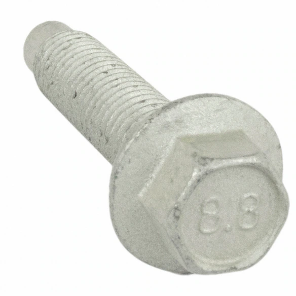 390428.jpg