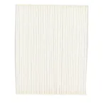 Cabin Air Filter ODOUR and POLLEN Main Image