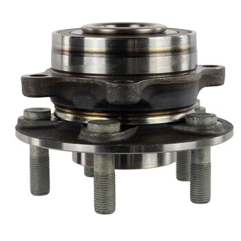 Wheel Bearing and Hub - Left, Right, Rear 20X11 Frt/20X11 Rr Pntd Cast Alum