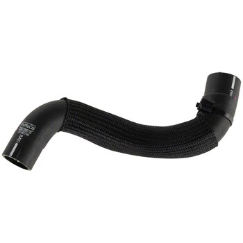 Radiator Coolant Hose - Lower