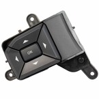 Cruise Control Switch Main Image