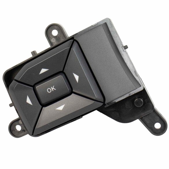 Cruise Control Switch Main Image