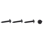 Interior Grab Bar Screw - 4.2 x 22MM Main Image