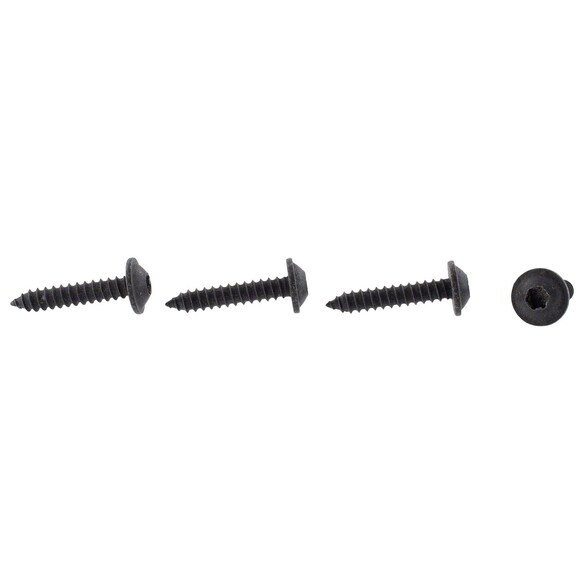 Interior Grab Bar Screw - 4.2 x 22MM Main Image