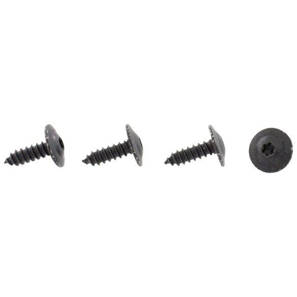 Torx Head Screw A that is used to secure the Door Window Glass Surround Channel its mounting point (Convertible Main Image