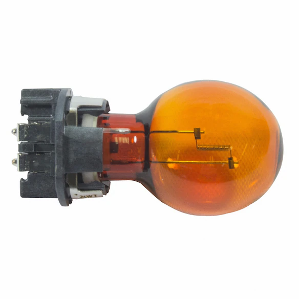 Bulb And Socket Turn Signal / Parking Light Main Image