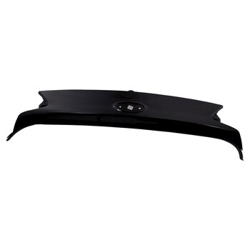 Exterior Door Handle Liftgate Finish Panel (Rear)