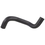 Radiator Coolant Hose - Lower 3.0L Main Image