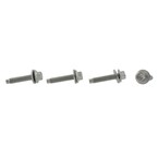 Bolt - 6 x 20 3.5L Main Image