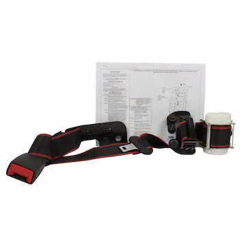 Seat Belt - Rear (XLT Special Edition)