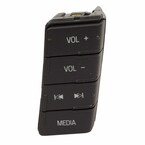 Cruise Control Switch Main Image