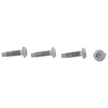 Door Check Bolt