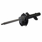 Suspension Strut Shock Absorber - Right, Front 17 Inch, 19 Inch Main Image