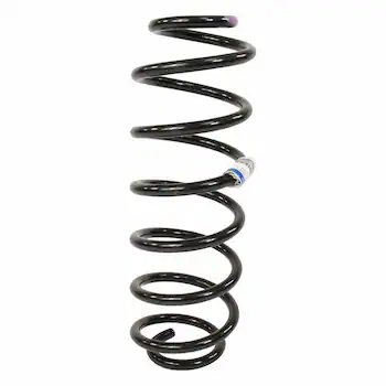 Coil Spring - Rear