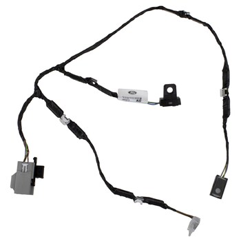 Socket and Wire Lamp