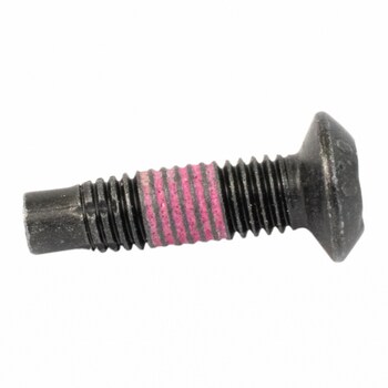 Door Check Bolt
