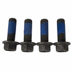 Disc Brake Caliper Bracket Mounting Bolt Flanged Hex Head - M18, Front, Rear Main Image