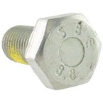 584448.jpg
